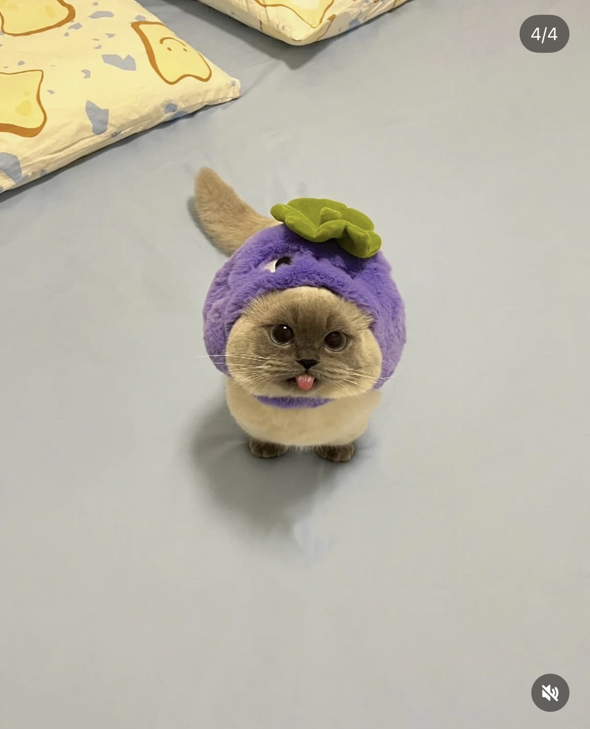 Xiaojie wearing a purple grape hat